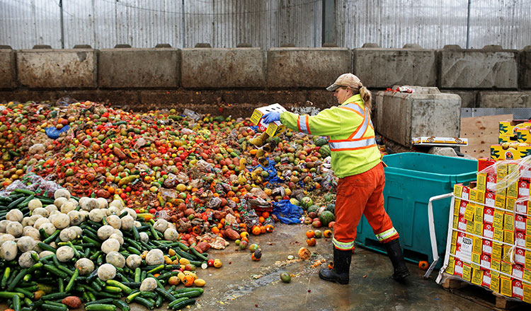 Food waste: The escalating predicament of humanity