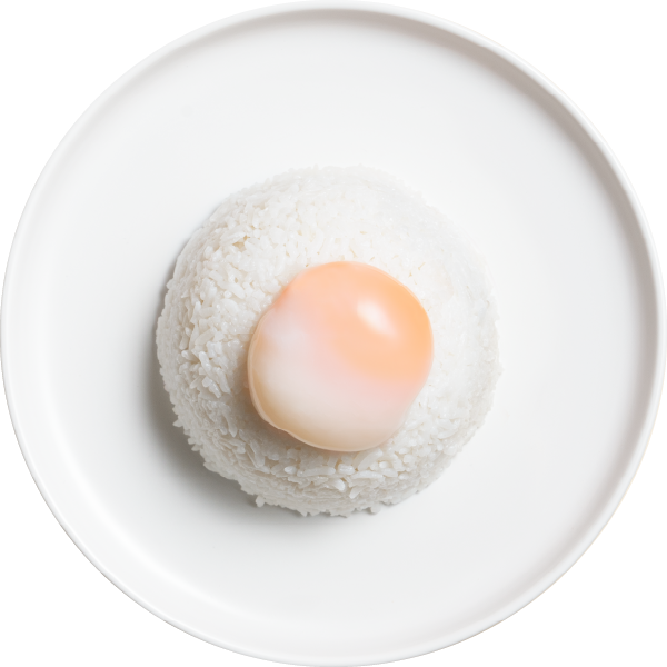 Donburi white rice